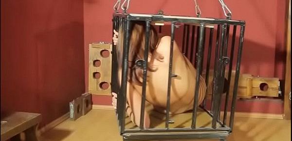  Torture in a cage